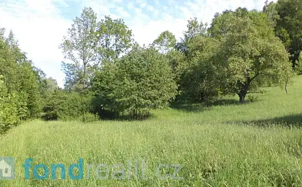 Prodej pole 15 764 m², Děčín - Děčín XXXIV-Chlum