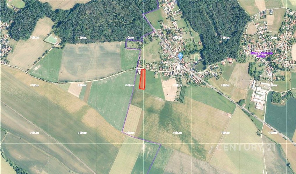 Prodej stavebního pozemku 5 553 m², Jizbice – náhled fotky 13