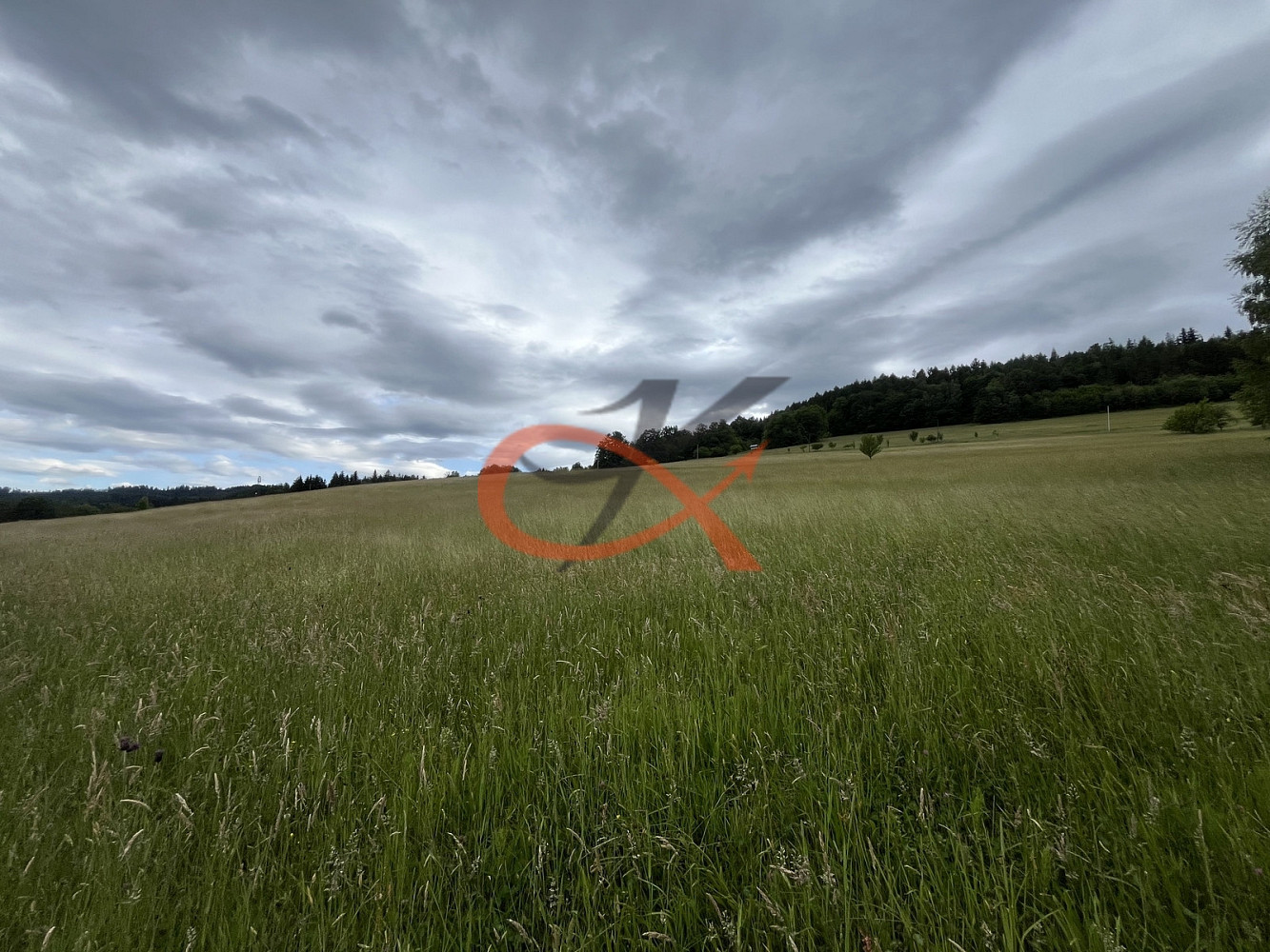 Fotka 14 z 19