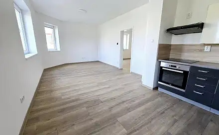 Pronájem bytu 2+1 65 m², Olšinky, Ústí nad Labem - Svádov