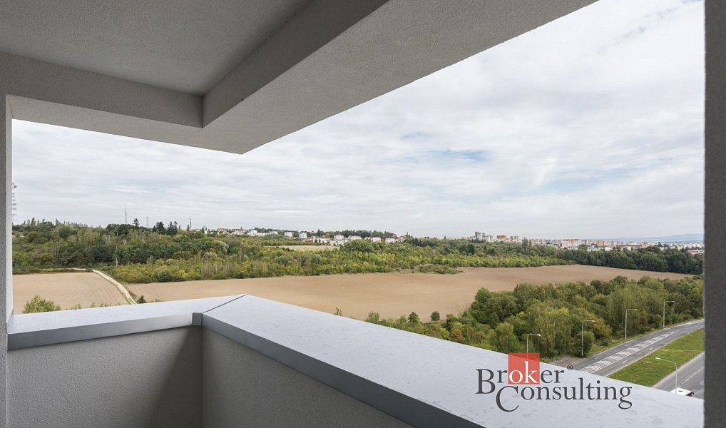 Prodej bytu 2+kk 50 m², Plzeň – náhled fotky 11
