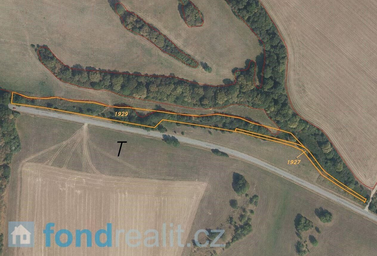 Prodej pole 7 270 m² – fotografie 5