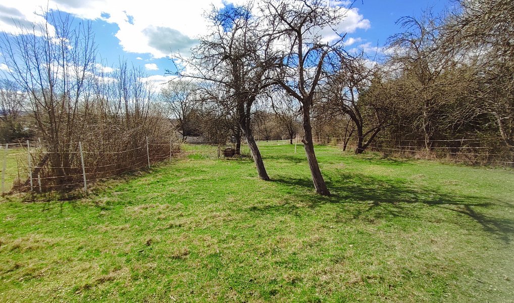 Prodej stavebního pozemku 2 605 m², Vísky – náhled fotky 4