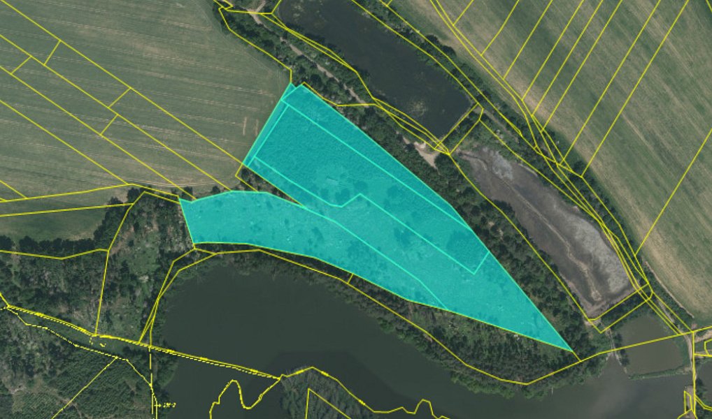 Prodej lesa 35 440 m², Chotoviny – náhled fotky 3
