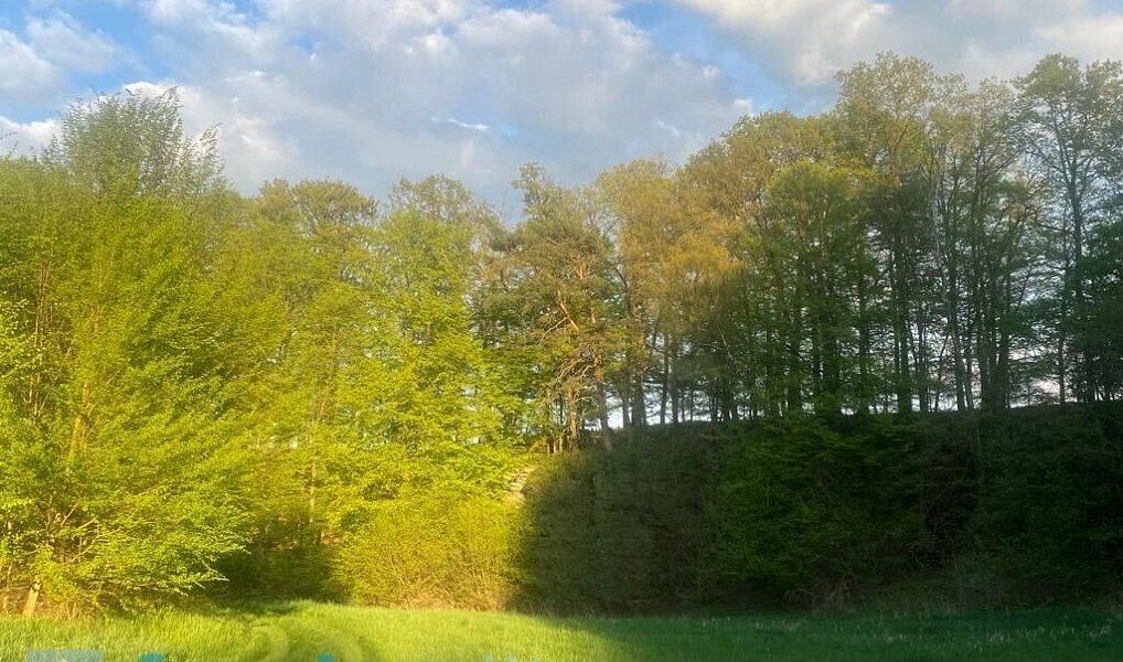 Prodej pole 3 829 m², Tachov – náhled fotky 3