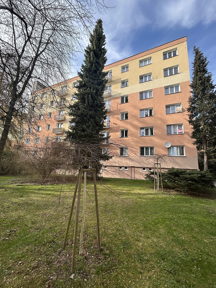 Pronájem bytu 2+1 56 m²