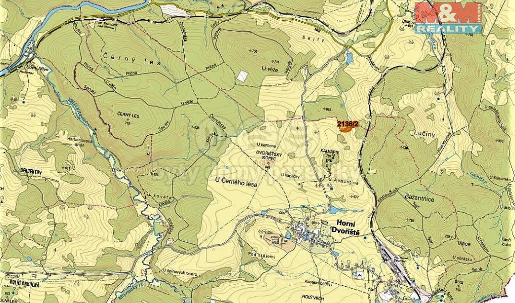Prodej louky 3 918 m², Horní Dvořiště – náhled fotky 2