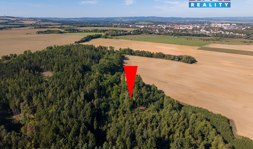 Prodej lesa 1 757 m², Cheb – náhled fotky 4