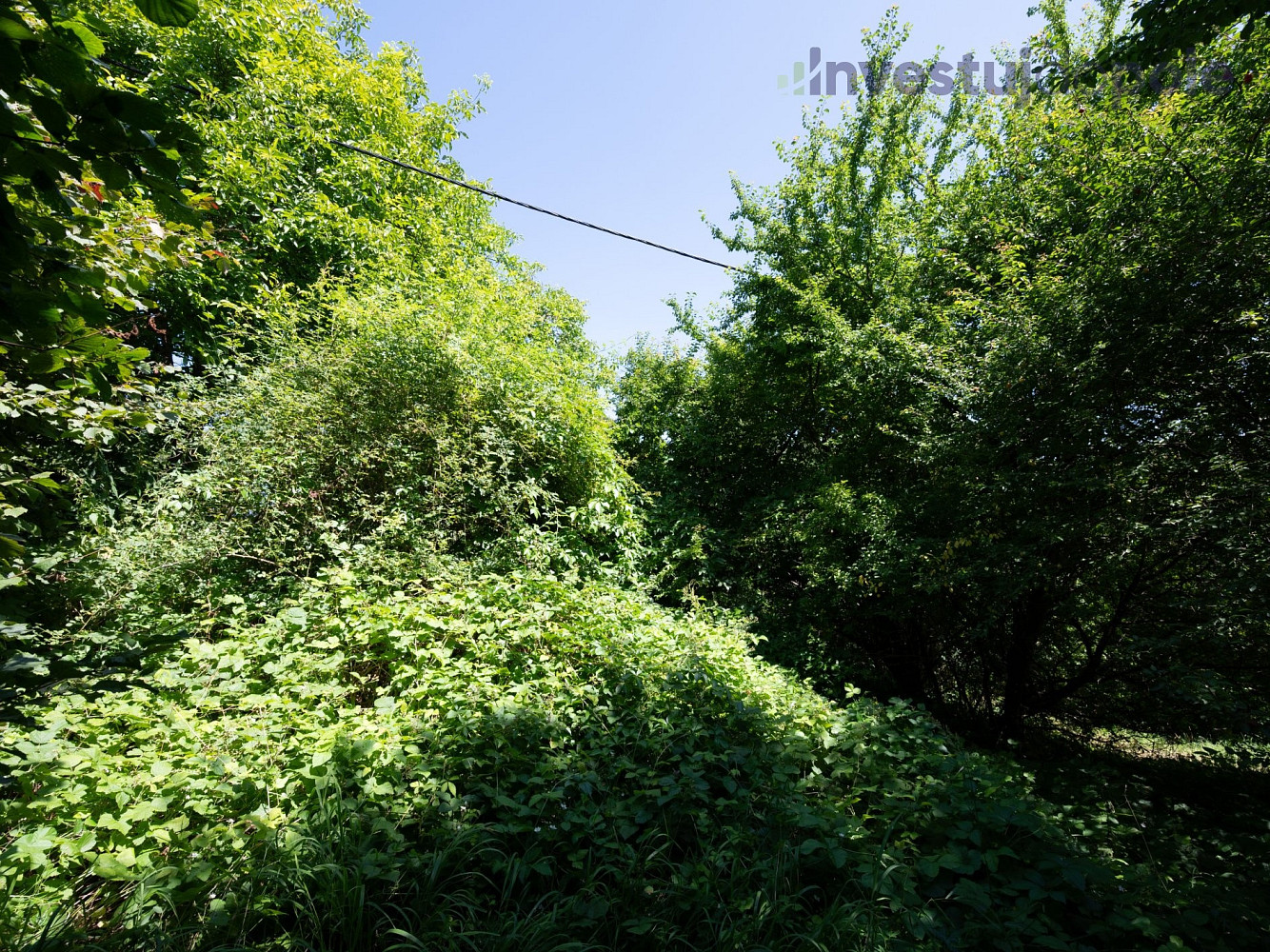 Prodej louky 2 240 m² – fotografie 5