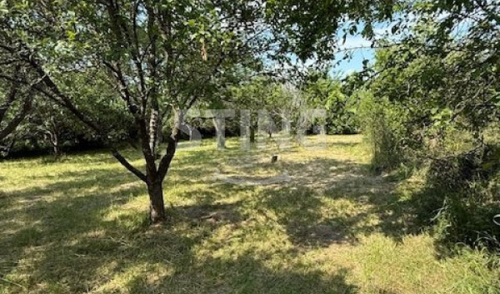 Prodej zahrady 3 628 m², Strážnice – náhled fotky 2