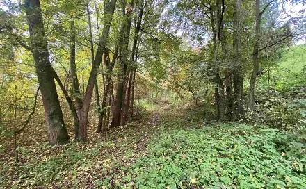 Prodej pozemku 1 003 m², Svijany, okres Liberec