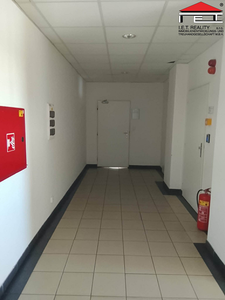 Pronájem kanceláře 227 m² — photo 3