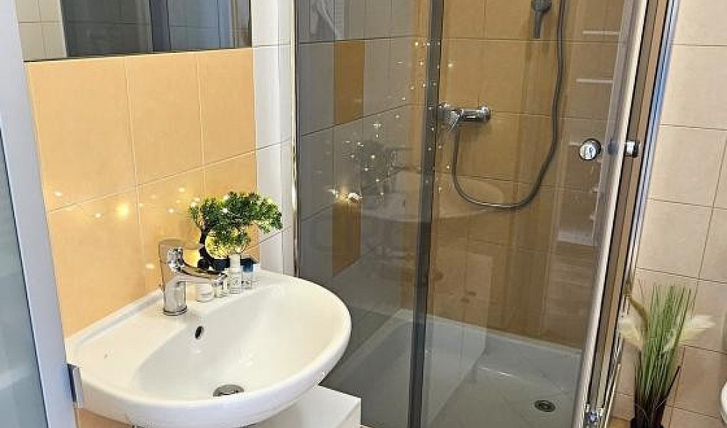 Pronájem bytu 1+kk 32 m², Brno – náhled fotky 2