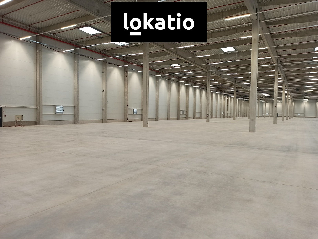 Pronájem skladovacích prostor 8 000 m² – fotografie 5