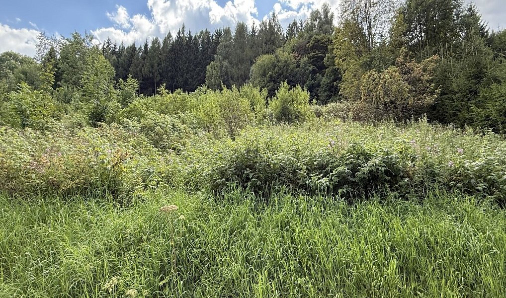 Prodej stavebního pozemku 902 m², Radvanice – náhled fotky 5
