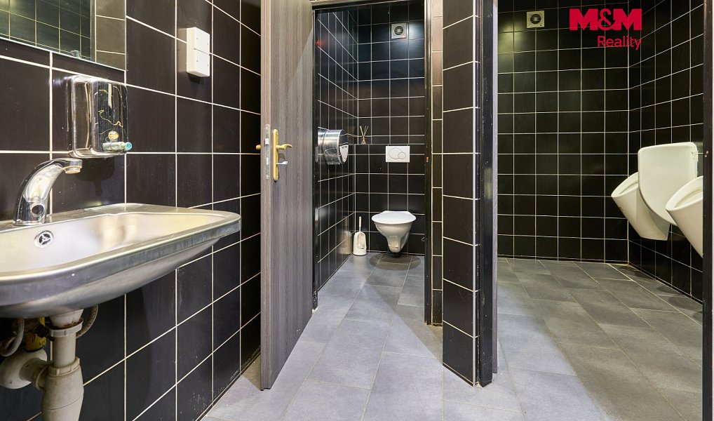 Pronájem obchodních prostor 205 m², Uherský Brod – náhled fotky 11
