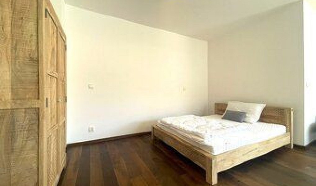 Pronájem bytu 1+kk 55 m², Brno – náhled fotky 3