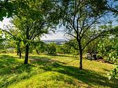 Prodej zahrady 1�878�m2