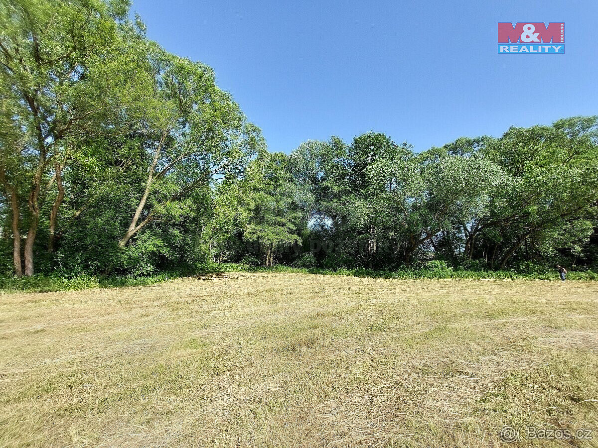 Prodej louky 237 m²