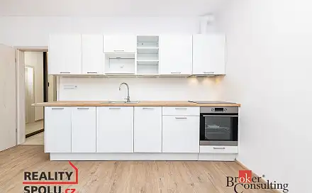 Prodej bytu 1+kk 40 m², Železná, Plzeň - Jižní Předměstí