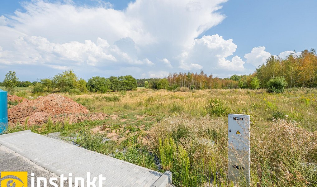Prodej stavebního pozemku 1 494 m², Zbůch – náhled fotky 4