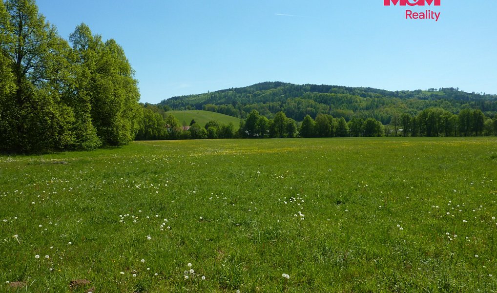 Prodej louky 20 490 m², Náchod – náhled fotky 6