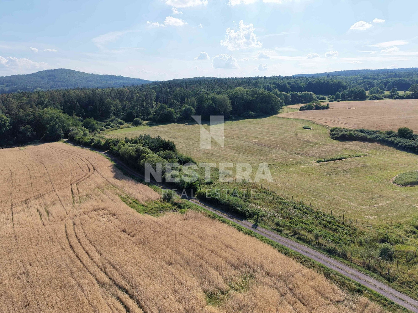 Prodej louky 5 165 m²