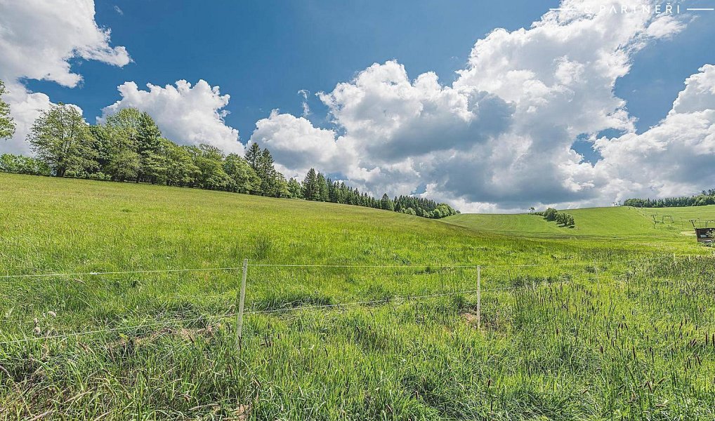 Prodej stavebního pozemku 5 600 m², Olešnice v Orlických horách – náhled fotky 8