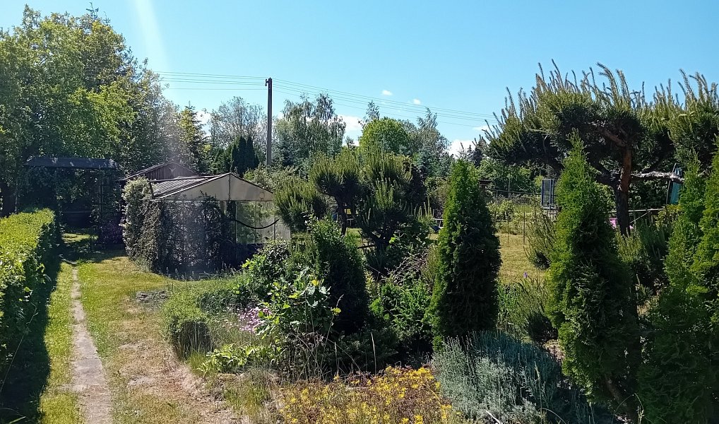 Prodej zahrady 215 m², Bělá pod Bezdězem – náhled fotky 5