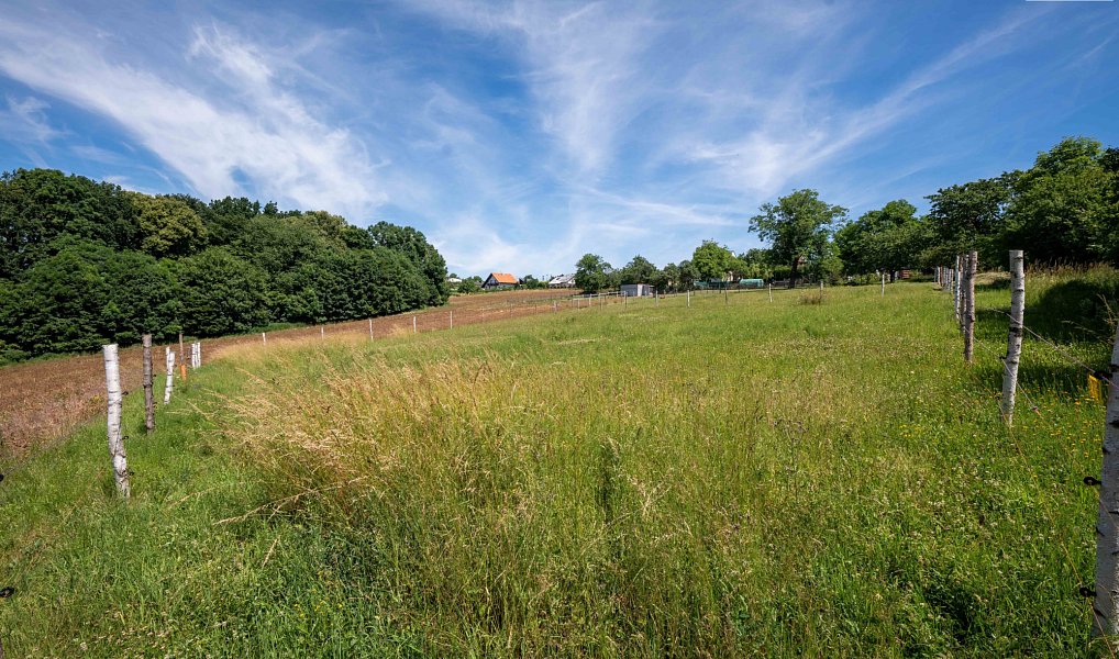 Prodej stavebního pozemku 1 999 m², Zbyslavice – náhled fotky 7