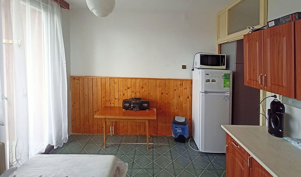 Pronájem bytu 1+kk 17 m², Lubná – náhled fotky 12