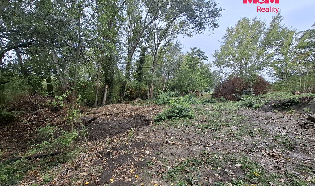 Prodej lesa 815 m², Šakvice – náhled fotky 6