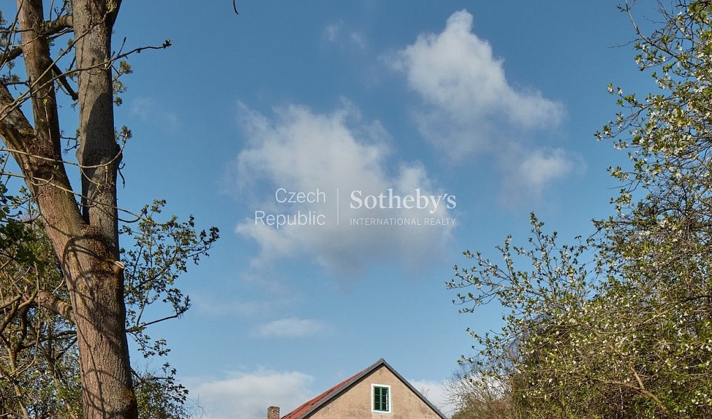 Prodej domu 380 m² s pozemkem 5 913 m², Brzánky – náhled fotky 24