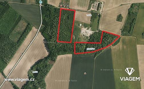 Prodej lesa 7 363 m², Břežany, okres Znojmo