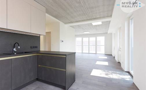 Prodej bytu 3+kk 148 m², Vrchlického, Kladno - Kročehlavy