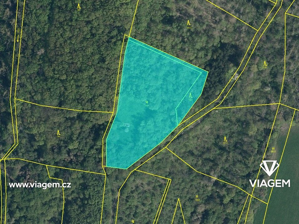 Prodej lesa 2 060 m² – fotografie 3