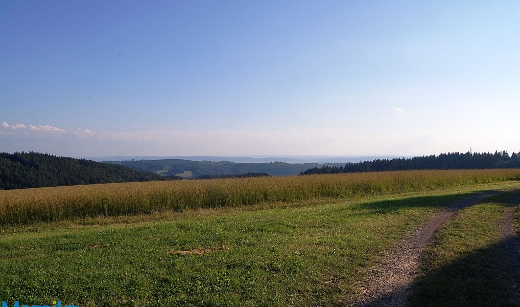 Prodej louky 867 m², Výprachtice – náhled fotky 2