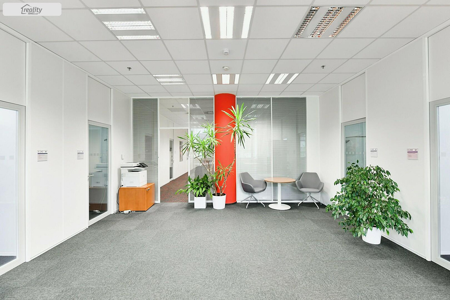 Pronájem kanceláře 560 m² — photo 4