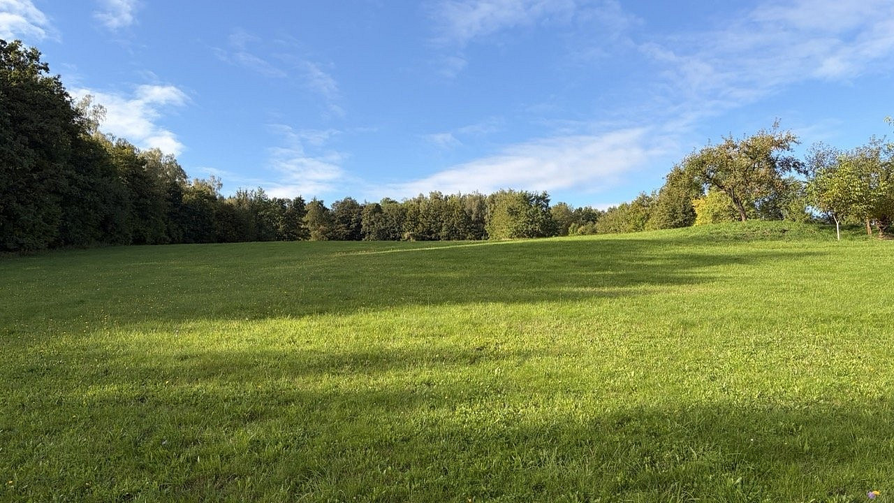 Prodej louky 3 927 m²