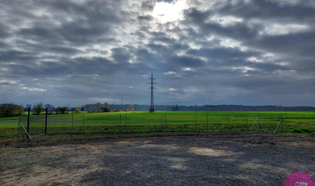 Pronájem zahrady 100 m², Grygov – náhled fotky 4