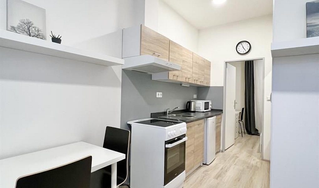 Pronájem bytu 2+kk 27 m², Brno – náhled fotky 5