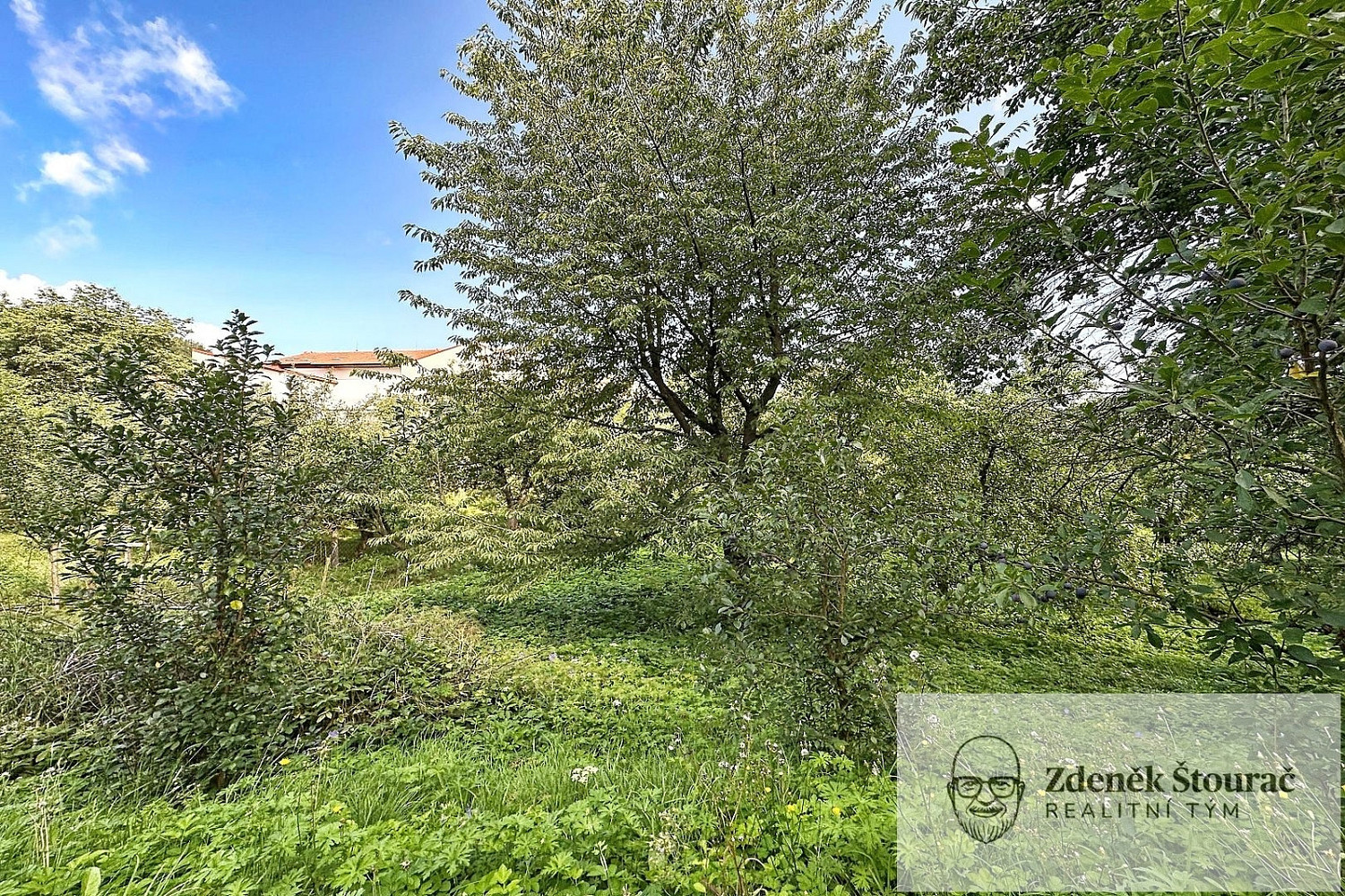 Prodej domu 300 m² s pozemkem 762 m² — photo 4