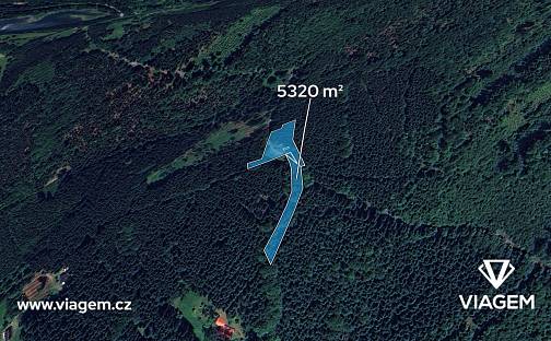 Prodej lesa 886 m², Morávka, okres Frýdek-Místek