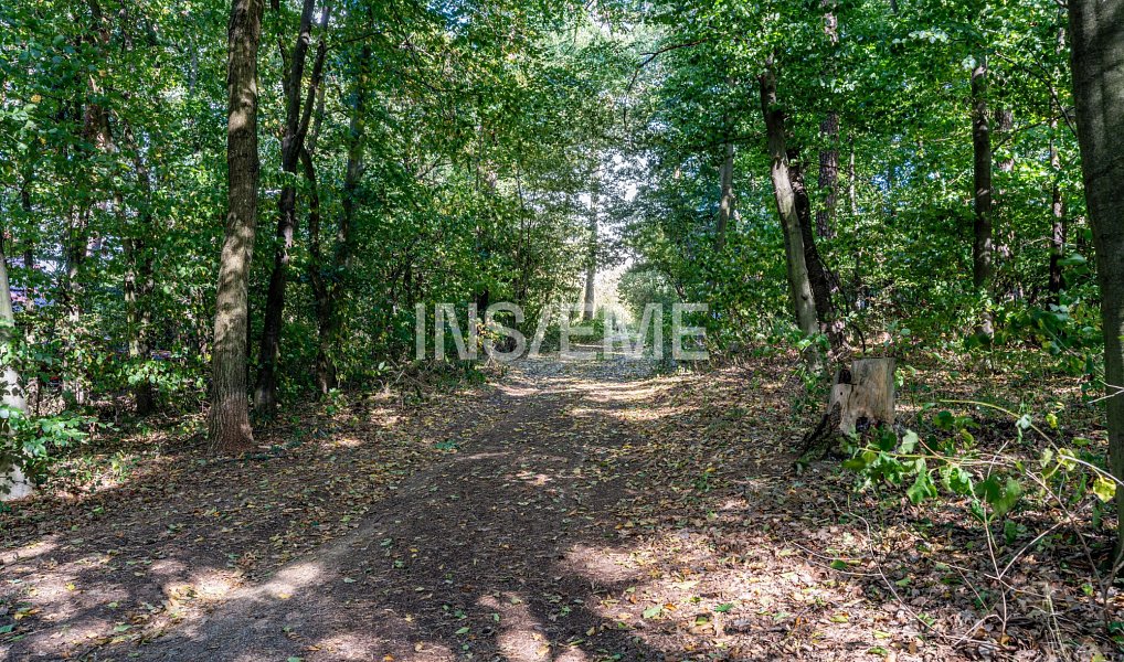 Prodej chaty/chalupy 63 m² s pozemkem 358 m², Kanice – náhled fotky 30