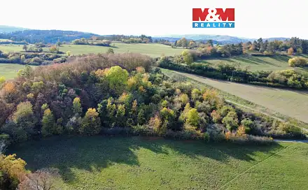 Prodej pole 4 731 m², Milešov, okres Příbram