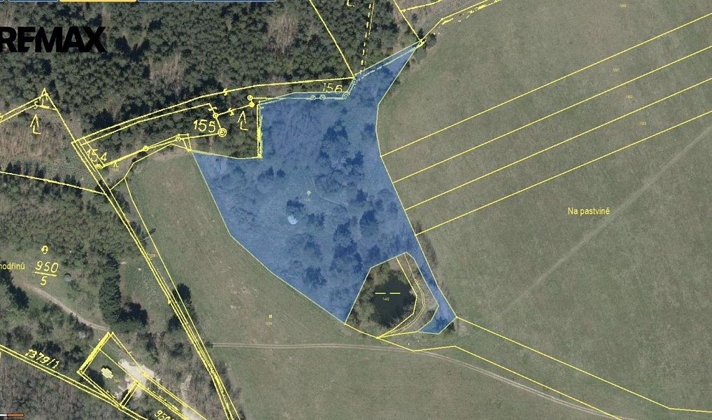 Prodej lesa 12 651 m², Dlouhý Újezd – náhled fotky 12