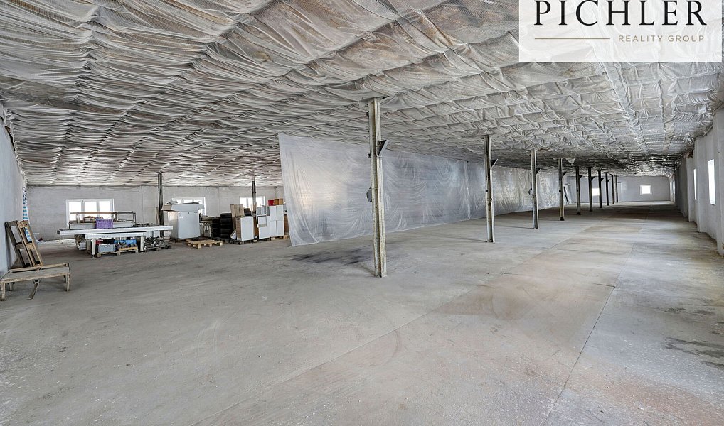 Pronájem výrobních prostor 1 396 m², Horní Bříza – náhled fotky 3
