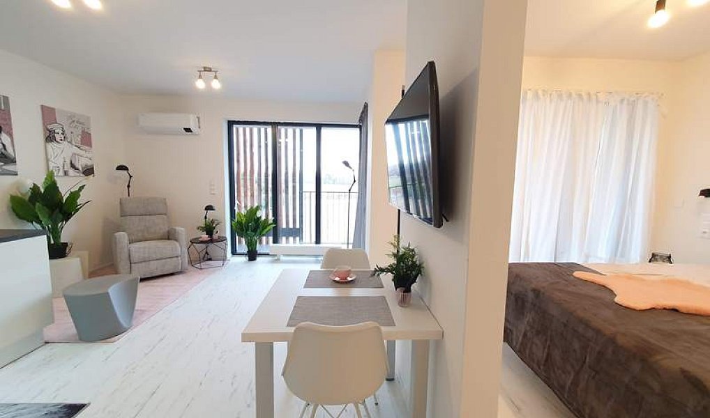 Pronájem bytu 2+kk 44 m², Olomouc – náhled fotky 5