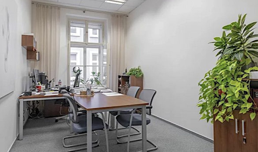 Pronájem kanceláře 300 m², Praha – náhled fotky 10