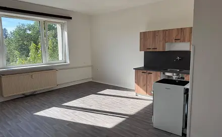Prodej bytu 1+kk 33 m², Mládeže, Zruč nad Sázavou, okres Kutná Hora